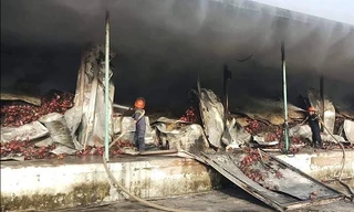  Kho chứa 260 tấn thanh long bốc cháy trong đêm