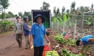  Địa phương đầu tiên của tỉnh Đồng Nai áp dụng chỉ thị 19+