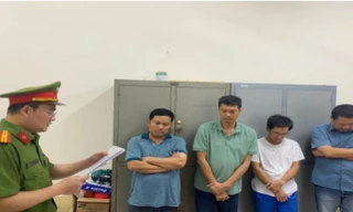 Khởi tố giám đốc công ty tổ chức khai thác đất trái phép ở Đồng Nai