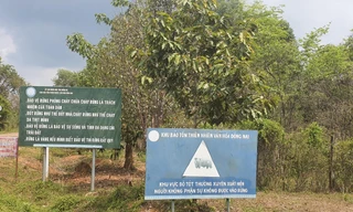 Đề xuất không xây dựng cầu Mã Đà qua vùng lõi khu sinh quyển thế giới