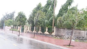 Côn Đảo mưa to gió lớn do ảnh hưởng bão Tembin