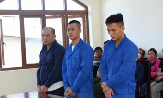 Mua 5 khẩu súng về bán, 3 người bị phạt tù