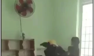 Lại xuất hiện clip nữ sinh đánh bạn ở Đồng Nai