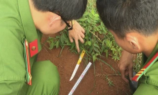 Nam sinh lớp 11 bị nhóm thanh niên đâm tử vong trên đường đi học về