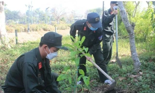 Tỉnh Đoàn Đồng Nai ra quân thực hiện Năm thanh niên tình nguyện 2024
