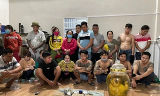 Phát hiện cá thể hổ trong bình rượu tại sới bạc vừa bị triệt phá