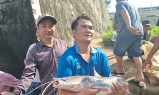 Người dân trúng cá to, bán tiền triệu sau khi thủy điện Trị An ngưng xả nước lần 3