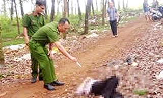 Hiện trường vụ án