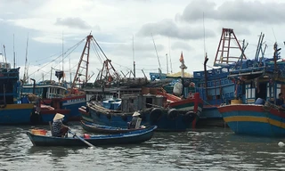 Bão Tembin tan, người dân Vũng Tàu ổn định lại cuộc sống