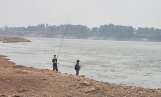 Điều tra vụ nhân viên kiểm lâm bị nhóm người bắt trói, hành hung rồi cướp ca nô 