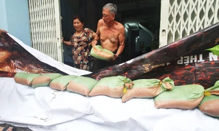 Người Sài Gòn xây 'lô cốt' chống ngập