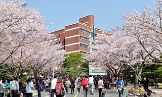 Học bổng đại học tại Hàn Quốc năm 2015