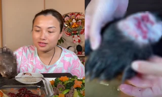 YouTuber Quỳnh Trần JP nói gì sau clip ăn bàn chân gấu gây phẫn nộ?