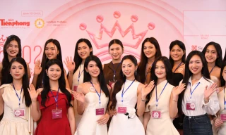 Hiện tượng giả danh Ban Tổ chức Hoa hậu Việt Nam 