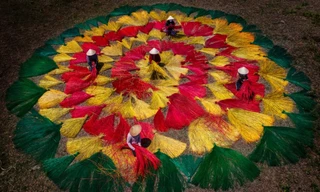 Phải xin phép khi đưa ảnh từ Việt Nam ra nước ngoài triển lãm