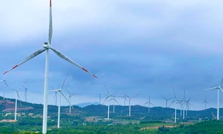 Triển khai đồng bộ các giải pháp để đạt tăng trưởng điện năng lượng tái tạo theo Quy hoạch điện VIII