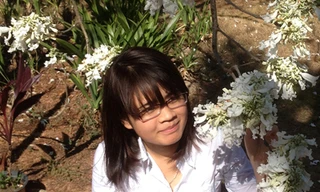 Cây phượng duy nhất Việt Nam nở hoa trắng