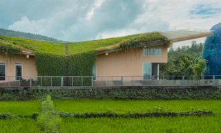 Lạ mắt với nhà cấp 4 có mái như thảo nguyên xanh