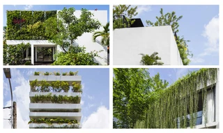 Chiêm ngưỡng những ngôi nhà phủ bằng cây xanh 