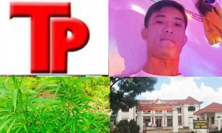 Bản tin Hình sự: Sát hại nữ chủ quán cà phê rồi phóng hỏa phi tang thi thể