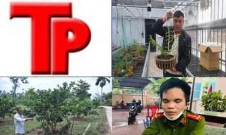 Bản tin Hình sự: Mất mạng vì ăn trộm bưởi của người đàn ông 60 tuổi