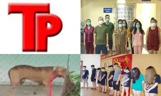 Bản tin Hình sự: Bắt quả tang hơn chục cô gái 'dự tiệc' ma túy trong quán karaoke