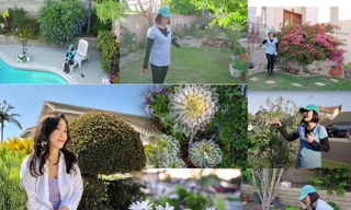 Choáng ngợp với khu vườn đầy hoa ở Mỹ của nghệ sĩ Hồng Đào