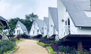 Hàng loạt homestay rao bán vì 'kiệt sức' do dịch kéo dài