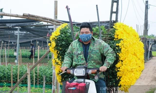 Làng hoa Tây Tựu 'cháy' hàng dịp Tết Dương lịch 2022
