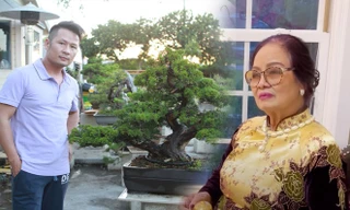 Nhà ở Mỹ của Bằng Kiều bị trộm đột nhập, mất cây bonsai đắt đỏ