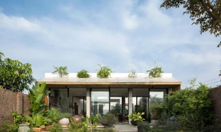 Khu vườn tuyệt đẹp bên trong nhà cấp 4 mái bằng ở ngoại ô Hà Nội