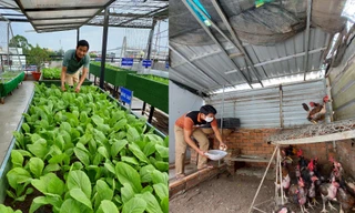 Vườn rau sân thượng giúp gia đình ở TPHCM mấy tháng mùa dịch không cần rời nhà 