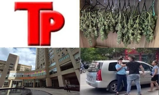 Bản tin Hình sự: Công an điều tra vụ bé trai 5 tuổi tử vong vì rơi từ tầng 11 chung cư