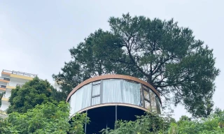 Chán ở mặt đất, gia chủ tự làm nhà trên cây đẹp mơ màng