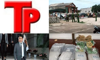 Bản tin Hình sự: Phát hiện gần 5kg ma túy trong sứa biển, cá khô xuất khẩu