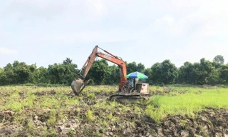 Chuyển mục đích sử dụng đất lúa, đất rừng làm dự án có nhiều điểm mới