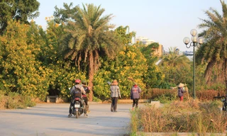 Thông tin mới vụ công viên 'nghìn tỷ' ở Hà Nội xuống cấp sau 3 năm sử dụng