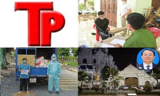 Bản tin Hình sự: Xe không mã 'luồng xanh' chở 1,5 tấn gà thối về TP. HCM tiêu thụ