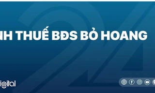 Đánh thuế bất động sản bỏ hoang