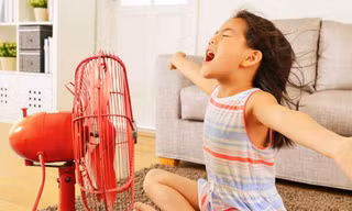 Những mẹo nhỏ để căn nhà luôn mát mẻ mà ít tốn điện vào mùa hè