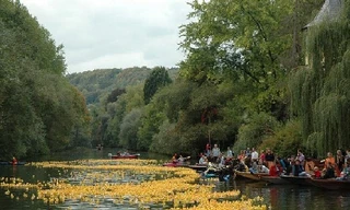 Thú vị cuộc đua ‘vịt cao su’