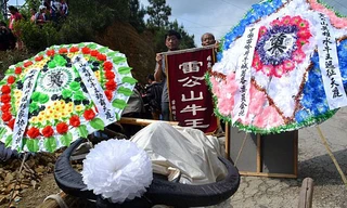 Tổ chức đám tang cho … trâu