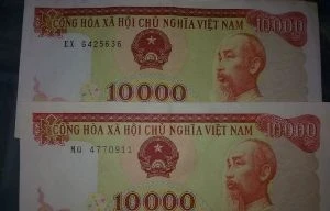 Dừng lưu hành tiền cotton 10.000 và 20.000 từ 2013