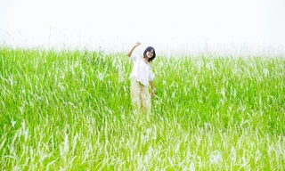 Người Hà Nội nô nức check-in với rừng lau trắng muốt rợp triền đê 