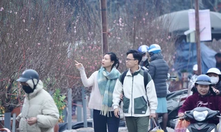 'Mỏi mắt' kiếm đào dăm, đào cành ngày rằm tháng Chạp