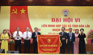 Hết trông chờ, ỷ lại, đưa hợp tác xã thành “đầu tàu” kinh tế tập thể