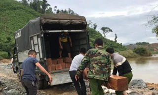 Công an huyện M'đrắk đưa gỗ về trụ sở, tiếp tục điều tra làm rõ