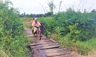 Một cầu tạm bắt qua sông Krông Năng xuống cấp