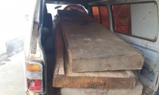 Số gỗ ông Trung bắt năm 2019 nhưng xử lý không đúng quy định