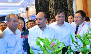 Thủ tướng Nguyễn Xuân Phúc tìm hiểu giống cây Mắc ca